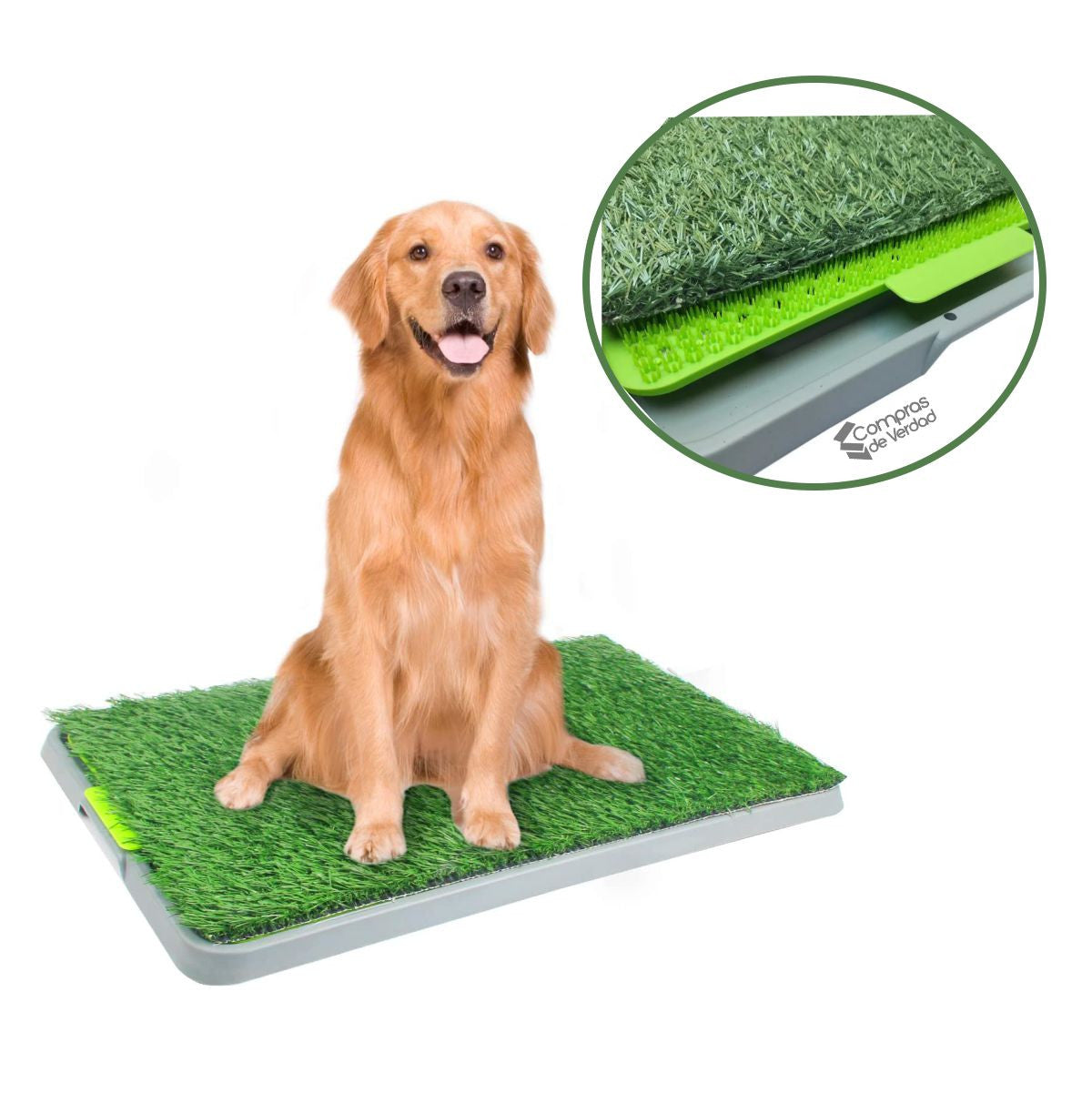 Mastershop Product Image